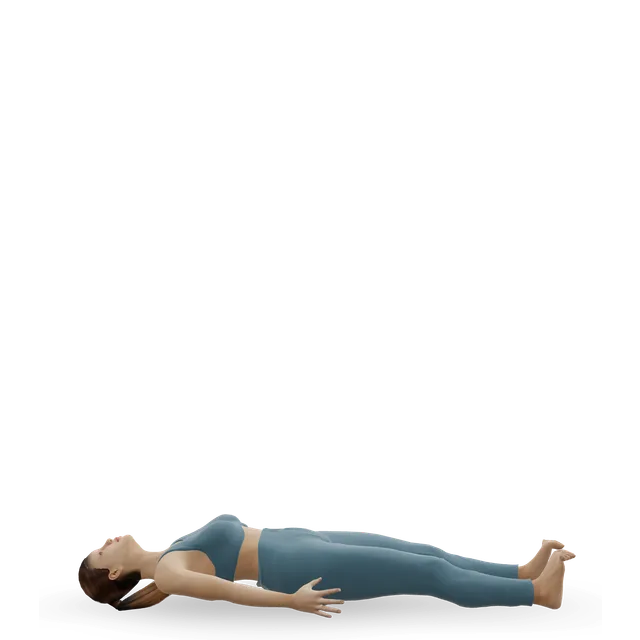Platform Hamstring Slides demonstrated on the 3D figure
