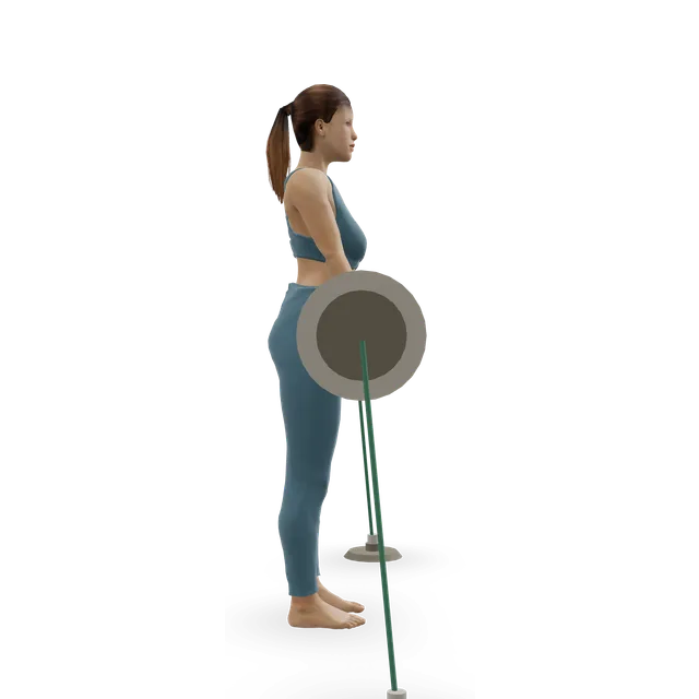 Rack pull with bands demonstrated on the 3D figure