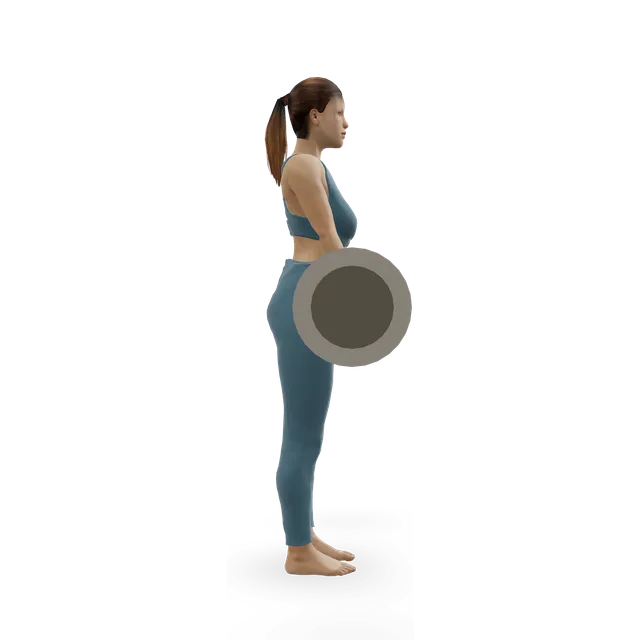 Rack pull demonstrated on the 3D figure