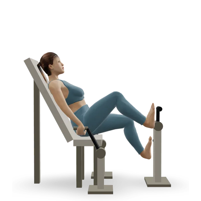 Recumbent exercise bike demonstrated on the 3D figure