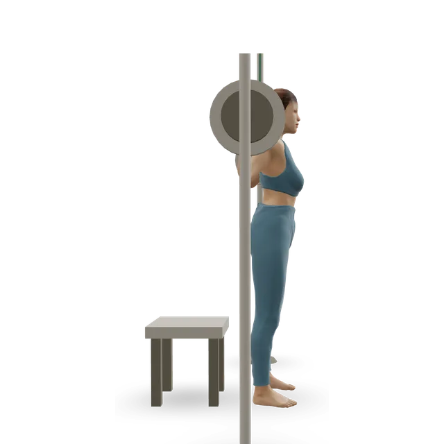 Reverse Band Box Squat demonstrated on the 3D figure