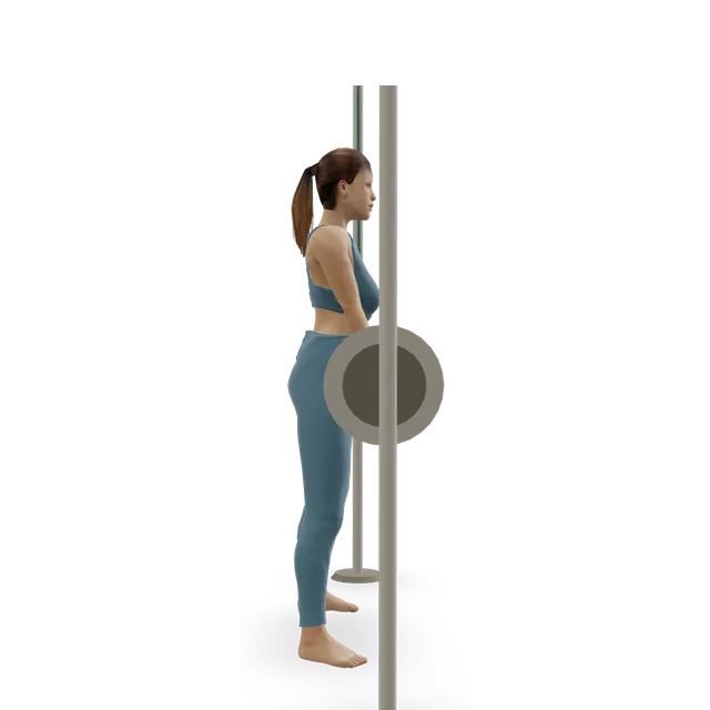 Reverse Band Sumo Deadlift demonstrated on the 3D figure