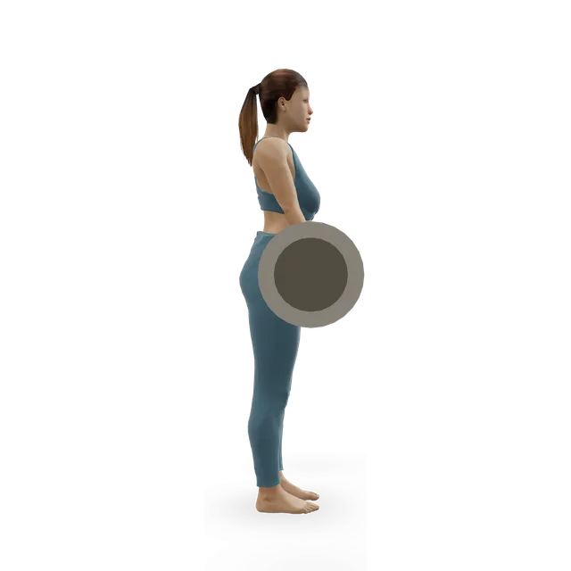 Reverse barbell curl demonstrated on the 3D figure