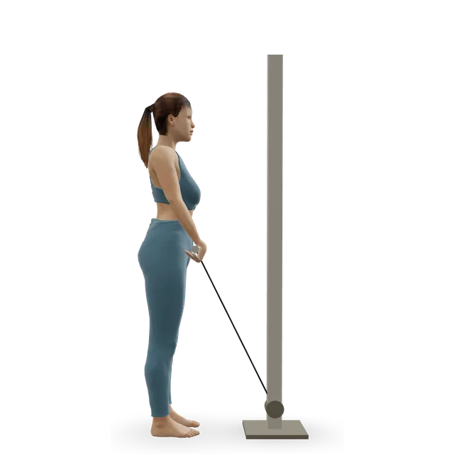 Reverse cable curl demonstrated on the 3D figure