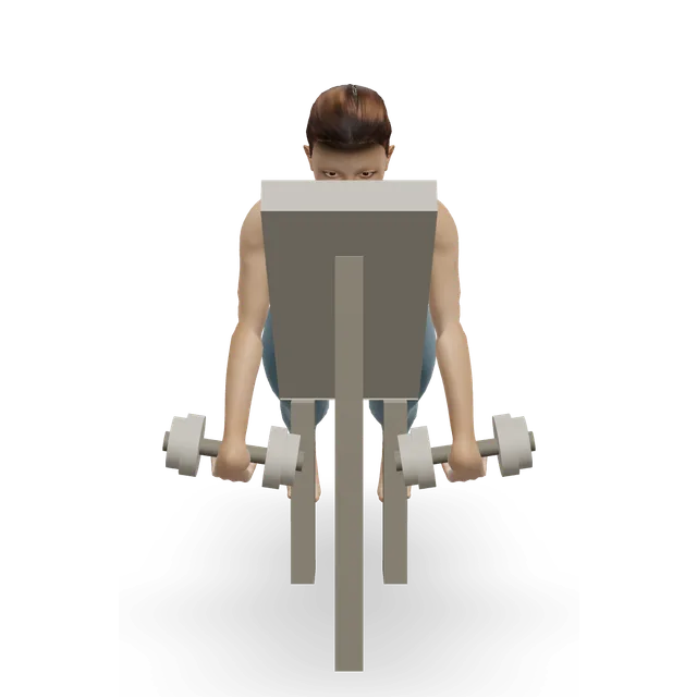 Incline reverse fly with external rotation demonstrated on the 3D figure
