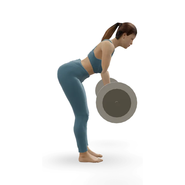 Underhand bent-over barbell row demonstrated on the 3D figure