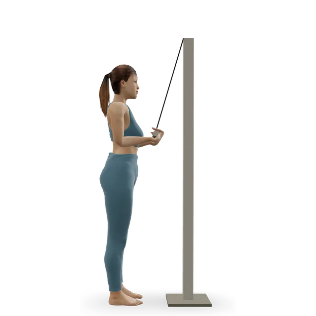 Reverse-grip triceps pushdown demonstrated on the 3D figure