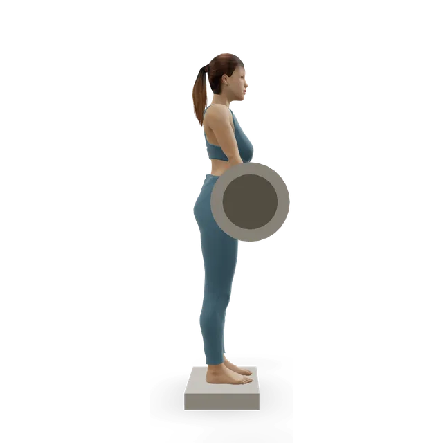Romanian deadlift from a deficit demonstrated on the 3D figure