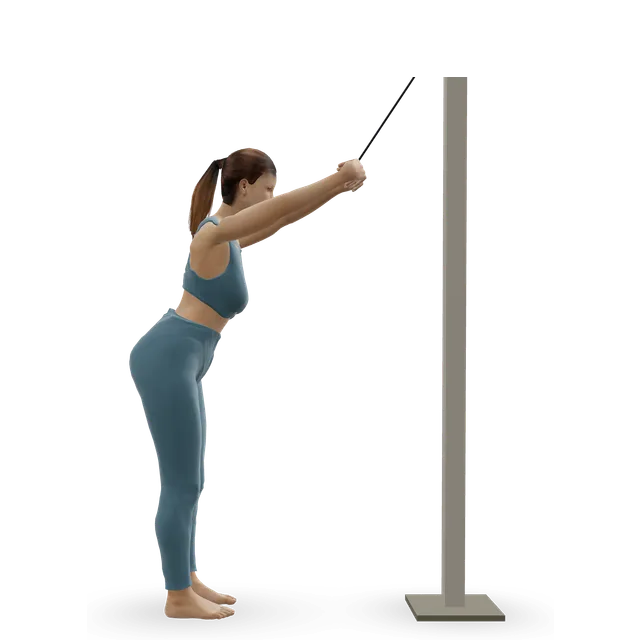 Rope straight-arm pulldown demonstrated on the 3D figure