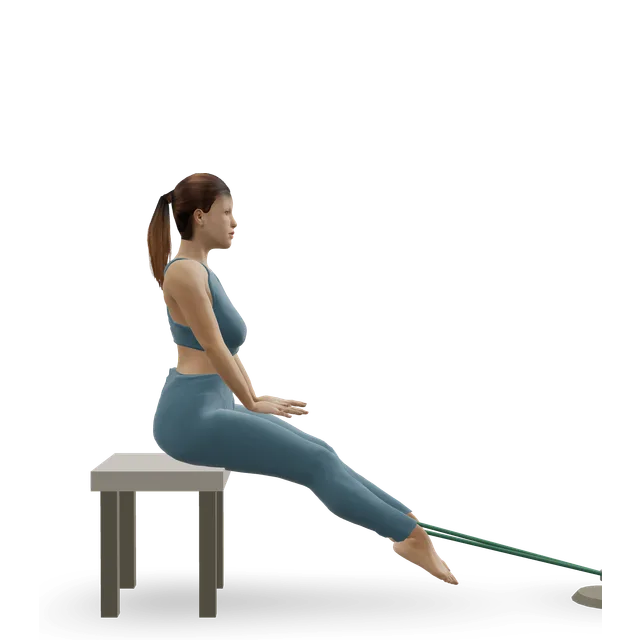 Seated Band Hamstring Curl demonstrated on the 3D figure