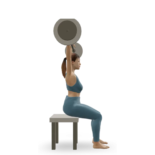 Seated barbell shoulder press demonstrated on the 3D figure