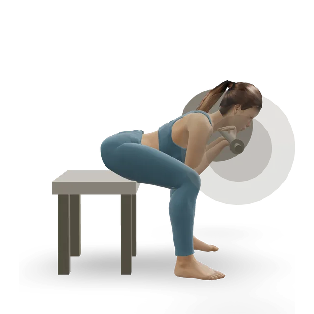 Seated barbell concentration curl demonstrated on the 3D figure