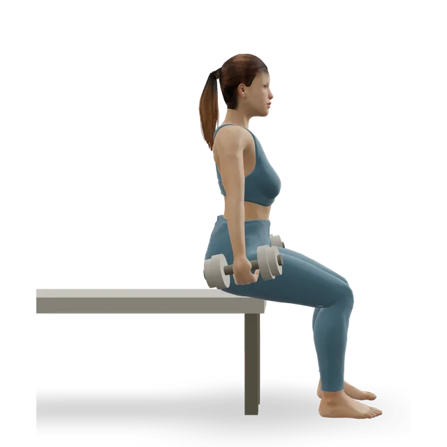 Seated dumbbell curl demonstrated on the 3D figure