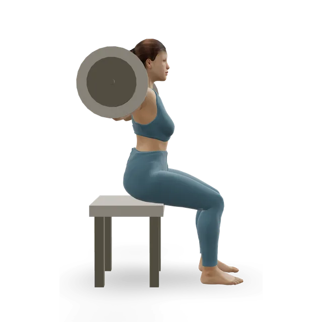 Seated Good Mornings demonstrated on the 3D figure