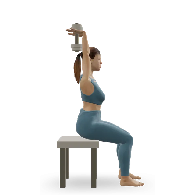Seated two-hand overhead extension demonstrated on the 3D figure