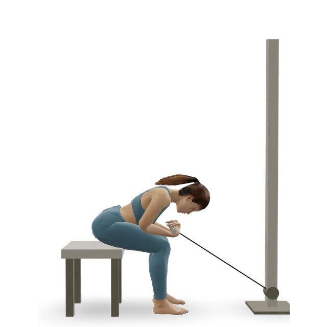Seated Two-Arm Palms-Up Low-Pulley Wrist Curl demonstrated on the 3D figure