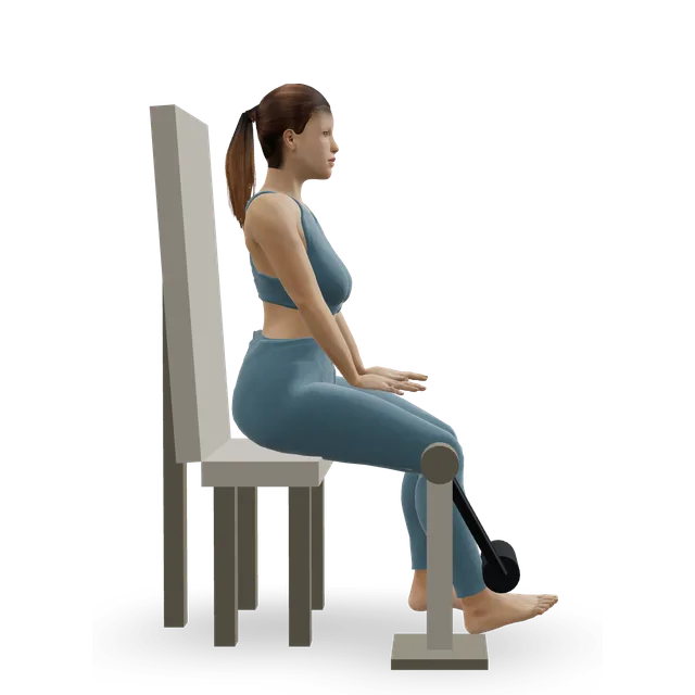 Single-Leg Leg Extension demonstrated on the 3D figure