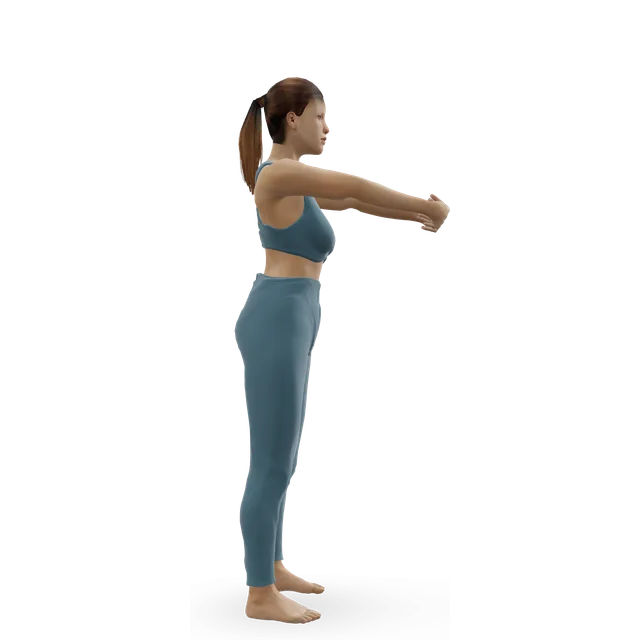 Sit squat (partial squat) demonstrated on the 3D figure