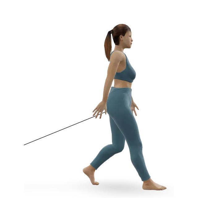 Sled Drag - Harness demonstrated on the 3D figure