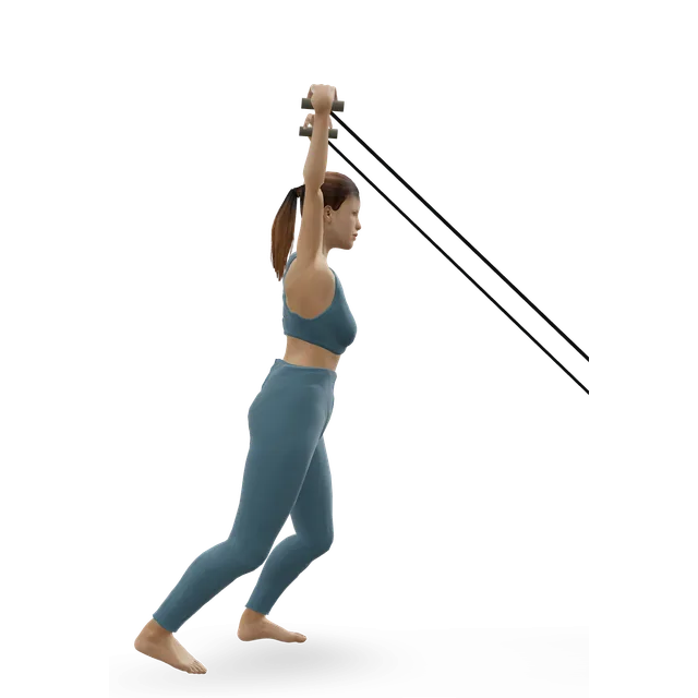 Sled Overhead Backward Walk demonstrated on the 3D figure