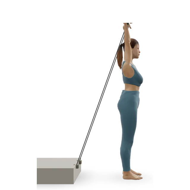 Sled Overhead Triceps Extension demonstrated on the 3D figure