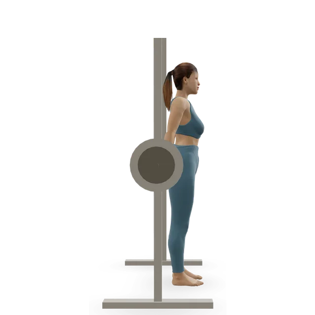 Smith Machine Behind the Back Shrug demonstrated on the 3D figure