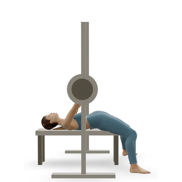 Smith machine bench press demonstrated on the 3D figure
