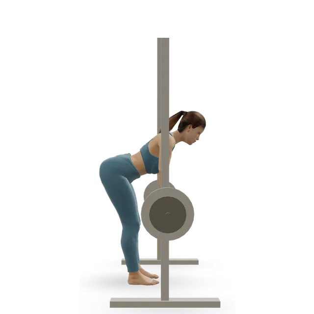Smith machine bent-over row demonstrated on the 3D figure