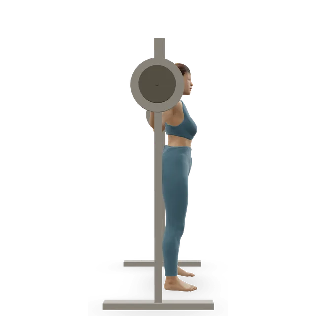 Smith machine calf raise demonstrated on the 3D figure