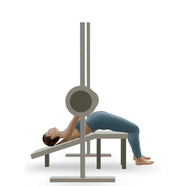 Smith machine decline press demonstrated on the 3D figure