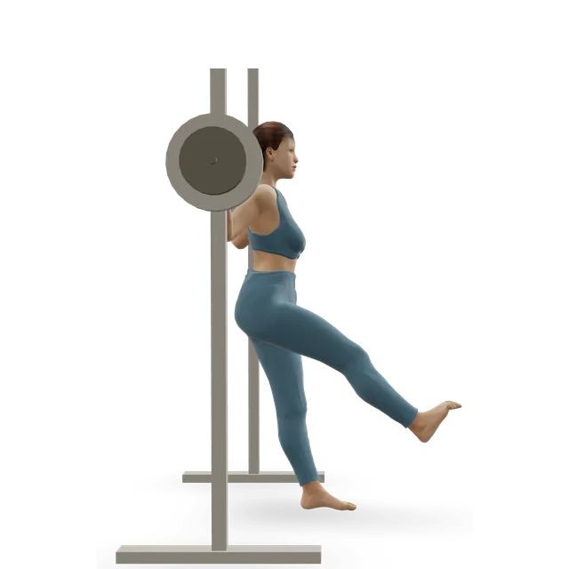 Smith Machine Pistol Squat demonstrated on the 3D figure