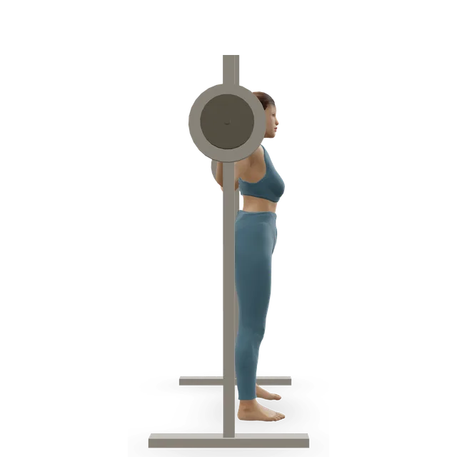 Smith Machine Reverse Calf Raises demonstrated on the 3D figure