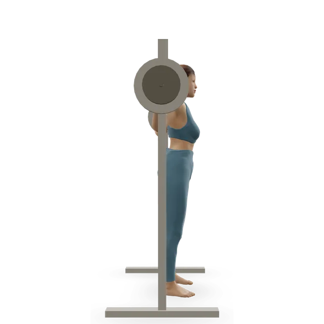 Smith machine squat demonstrated on the 3D figure