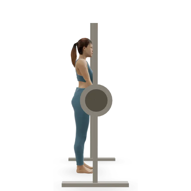 Smith Machine Stiff-Legged Deadlift demonstrated on the 3D figure