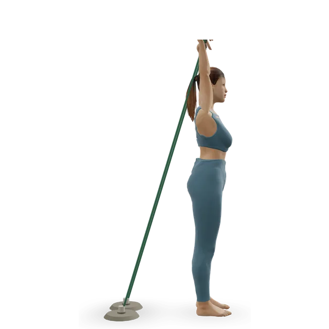 Band overhead triceps extension demonstrated on the 3D figure