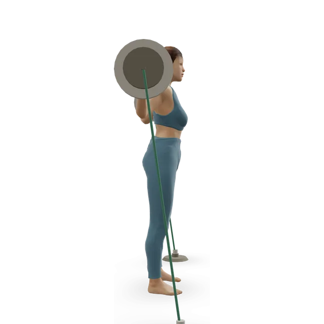 Back squat with bands demonstrated on the 3D figure