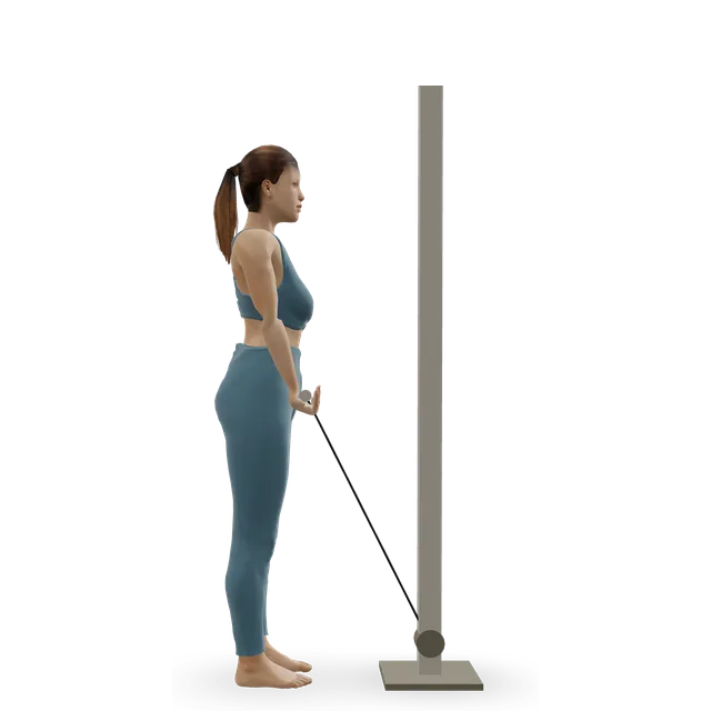 Standing cable curl demonstrated on the 3D figure