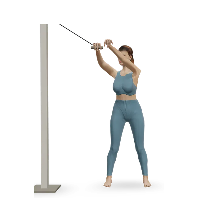 Cable wood chop demonstrated on the 3D figure
