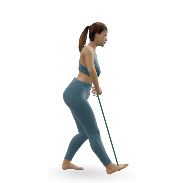 Standing Hamstring and Calf Stretch demonstrated on the 3D figure