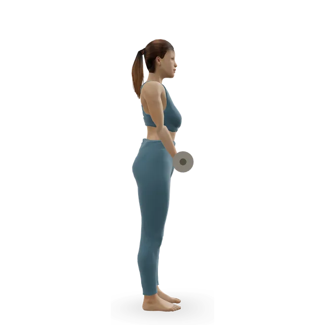 Standing Inner-Biceps Curl demonstrated on the 3D figure