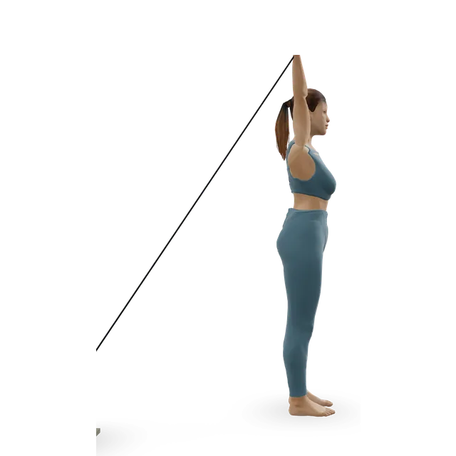 One-arm overhead cable extension demonstrated on the 3D figure
