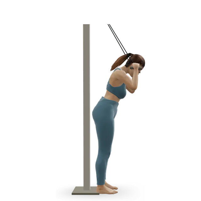 Standing cable crunch demonstrated on the 3D figure