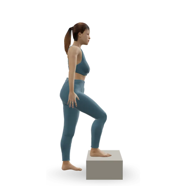 Step-up with knee raise demonstrated on the 3D figure