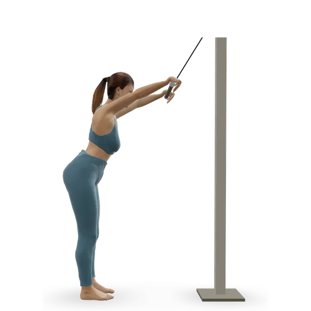 Straight-arm pulldown demonstrated on the 3D figure