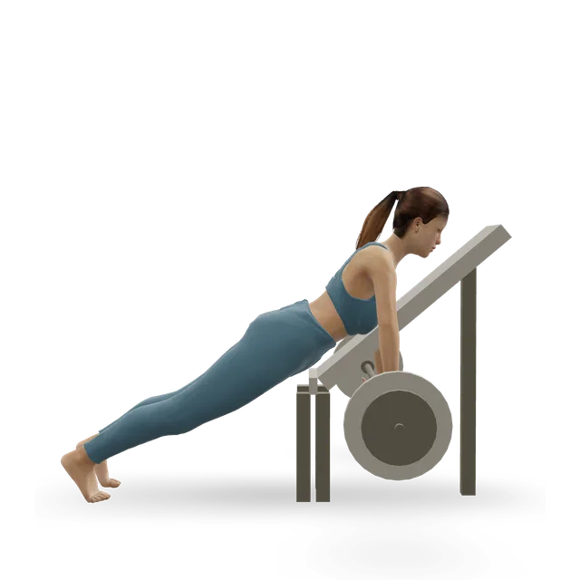 Straight Raises on Incline Bench demonstrated on the 3D figure