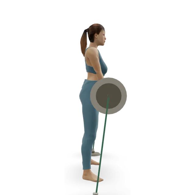 Sumo Deadlift with Bands demonstrated on the 3D figure