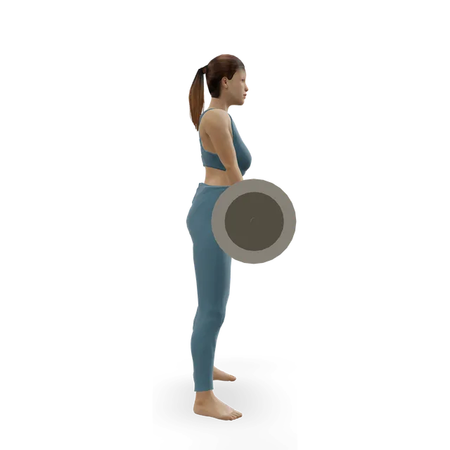 Sumo Deadlift with Chains demonstrated on the 3D figure