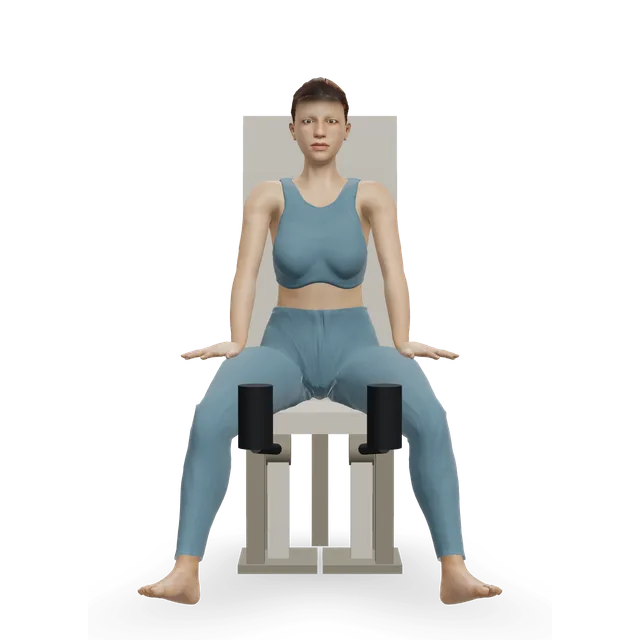 Hip adduction machine demonstrated on the 3D figure