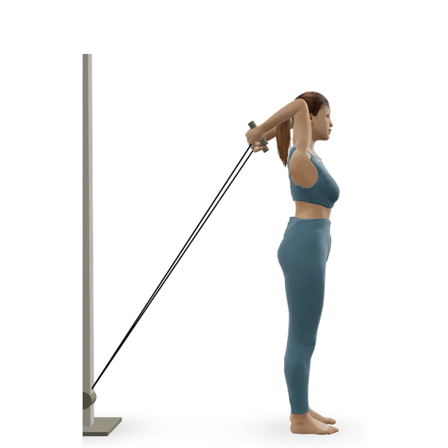 Triceps Overhead Extension with Rope demonstrated on the 3D figure