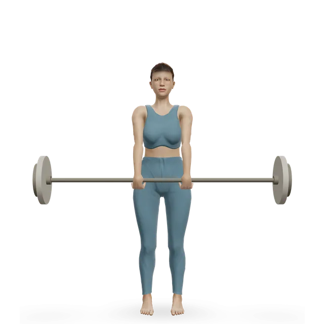 Upright barbell row demonstrated on the 3D figure
